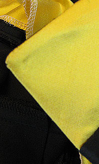 outside of collar, detail